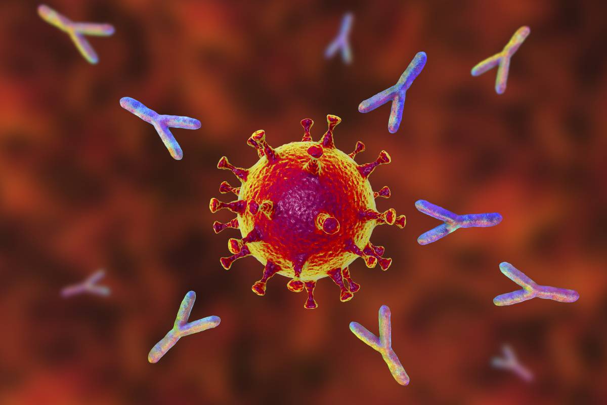 Antibody Persistence After COVID-19 Vaccine