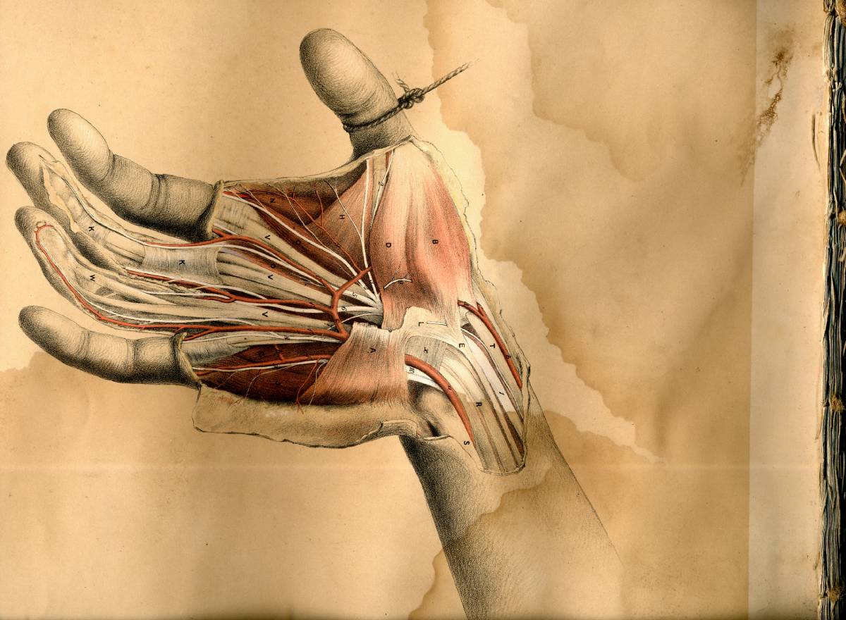 Uses of Digital Nerve Block